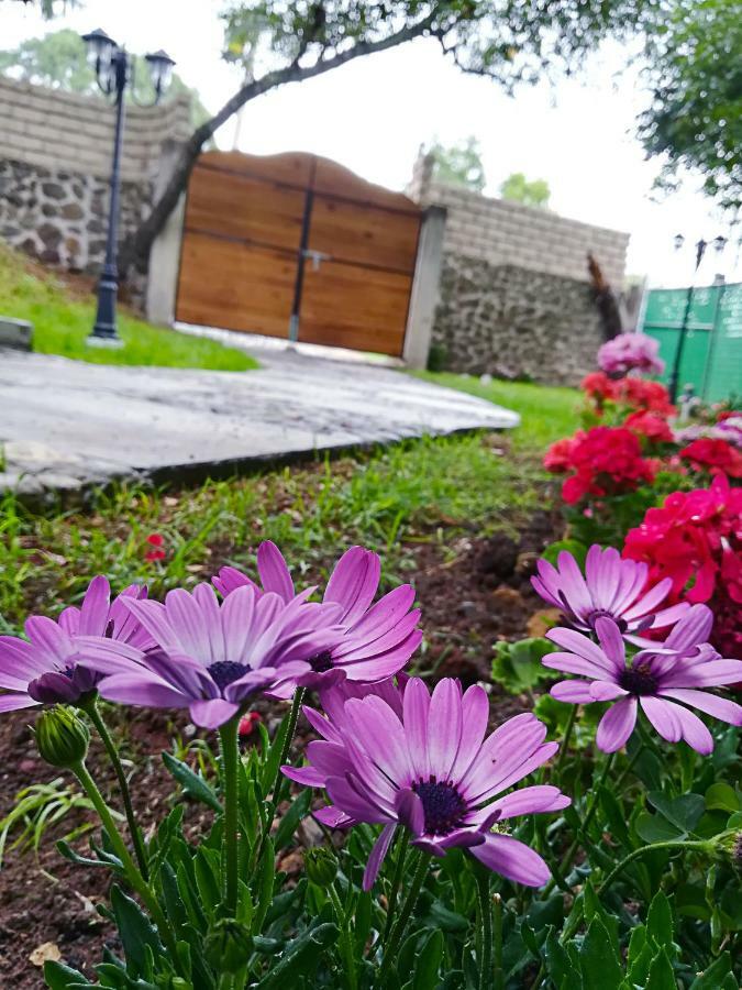 La Mora Chalet Huasca de Ocampo